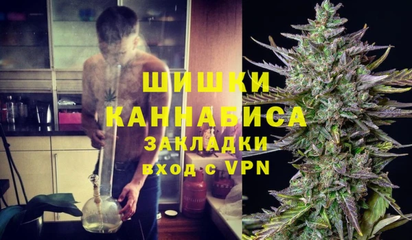 кокс Богородицк