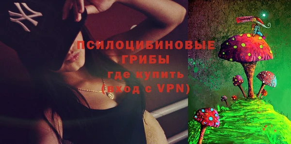 кокс Богородицк