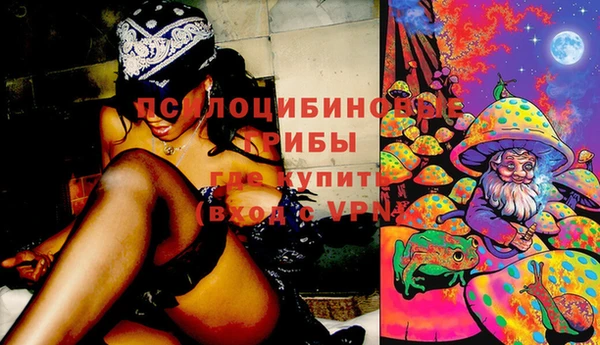 кокс Богородицк