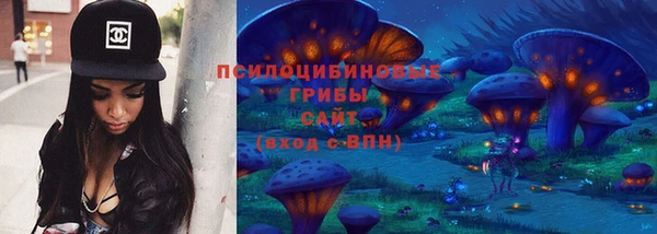 кокс Богородицк